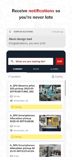 Surplex Auctions screenshot 2