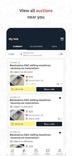 Surplex Auctions screenshot 4