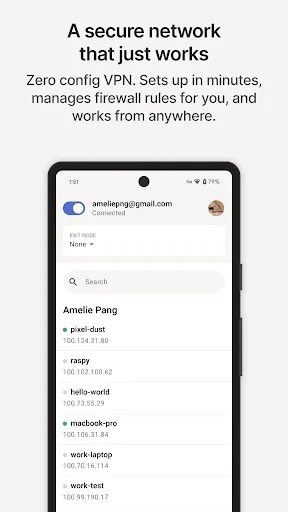 Tailscale screenshot 1