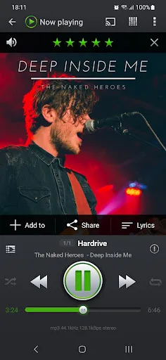 PlayerPro Music Player (Pro) screenshot 2