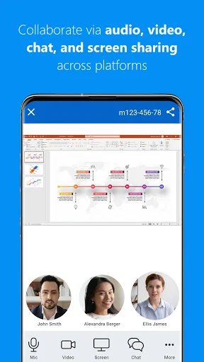 TeamViewer Meeting screenshot 2