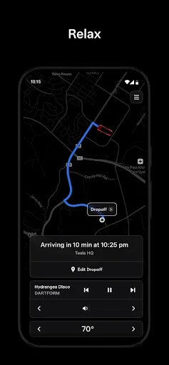 Tesla Robotaxi screenshot 4