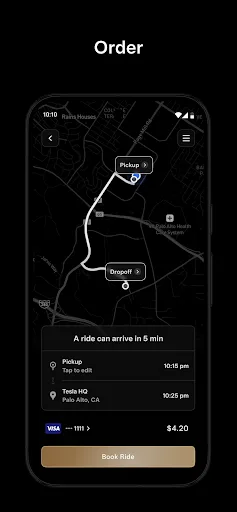 Tesla Robotaxi screenshot 5