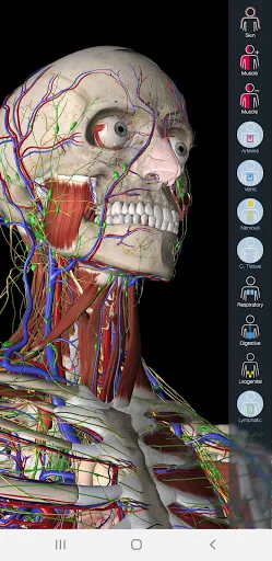 Essential Anatomy 5 screenshot 1