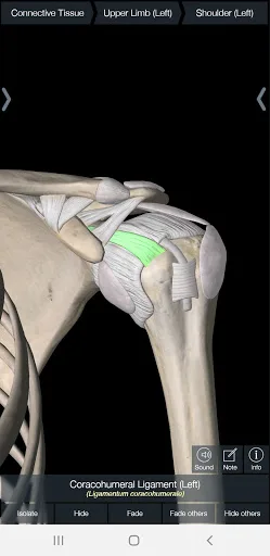 Essential Anatomy 5 screenshot 2