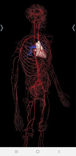 Essential Anatomy 5 screenshot 3