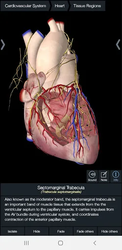 Essential Anatomy 5 screenshot 4