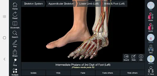 Essential Anatomy 5 screenshot 5
