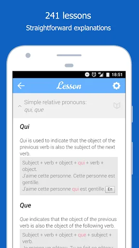 Dr French, French grammar screenshot 1