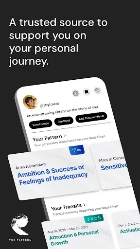 The Pattern: Astrology screenshot 1