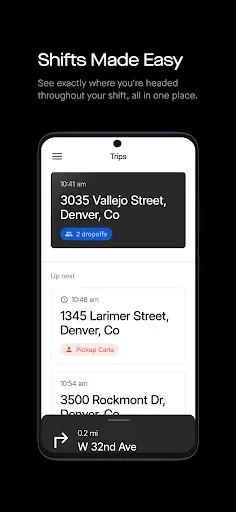 Drive Pingo screenshot 1