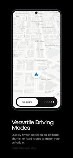 Drive Pingo screenshot 4