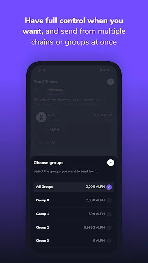 Linx Wallet screenshot 3
