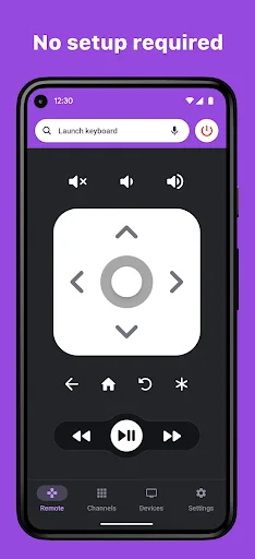 RoByte: Roku TV Remote Control screenshot 1