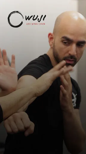 Wuji: Wing Chun Mastery screenshot 2