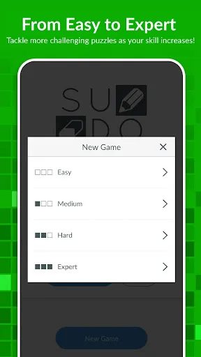 Sudoku screenshot 2