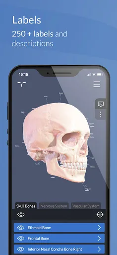 Head Atlas screenshot 1