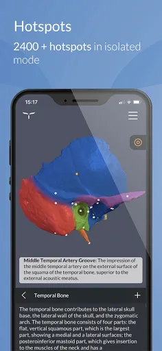 Head Atlas screenshot 2