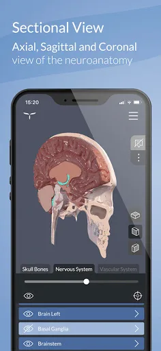 Head Atlas screenshot 3