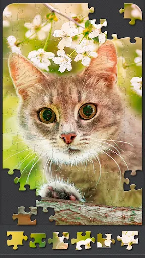 Jigsaw Puzzles for Adults screenshot 5