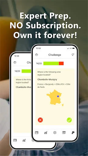 Wine Trainer: WSET / Sommelier screenshot 2