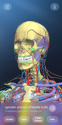 AR Anatomy screenshot 5
