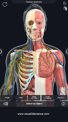 Human Anatomy screenshot 3
