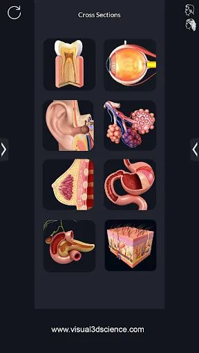 Human Anatomy screenshot 5