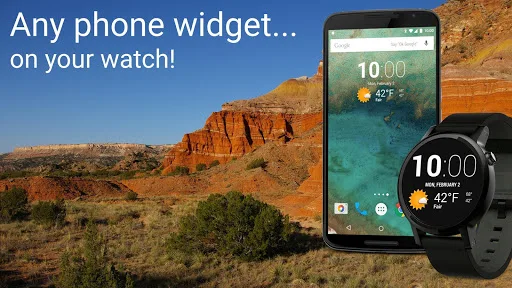 Wearable Widgets screenshot 1