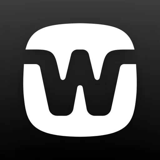 WIDEX MOMENT