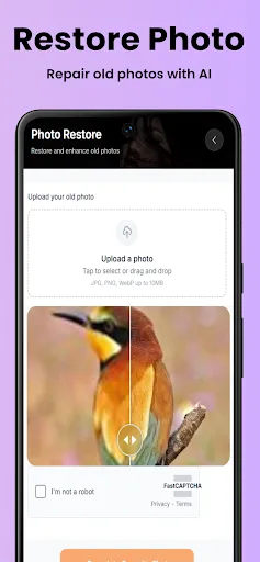 AFF - AI Studio screenshot 5