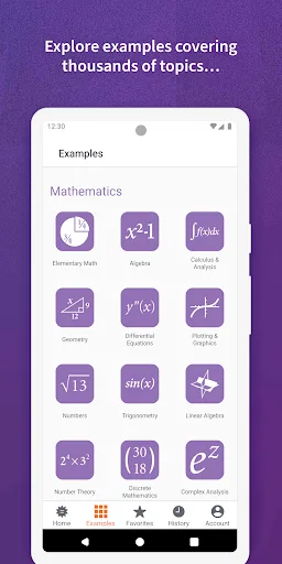 WolframAlpha screenshot 3