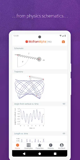 WolframAlpha screenshot 4