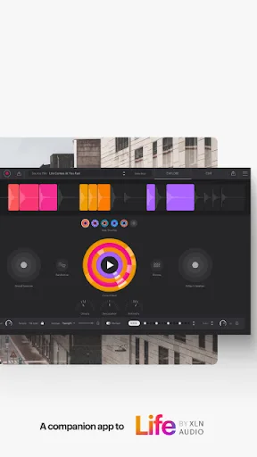 Life Field Recorder screenshot 2