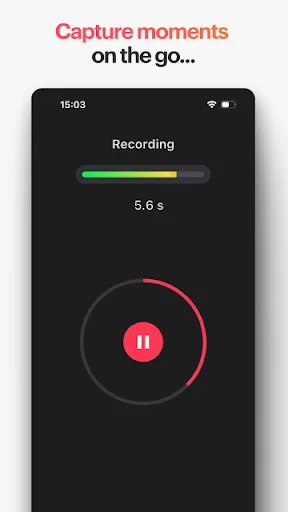 Life Field Recorder screenshot 4