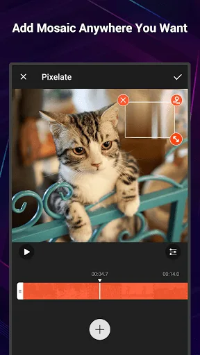Video Editor VideoShow Pro screenshot 4