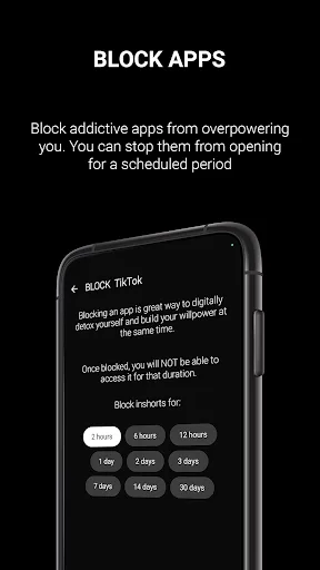Zen Detox: Minimalist launcher screenshot 2