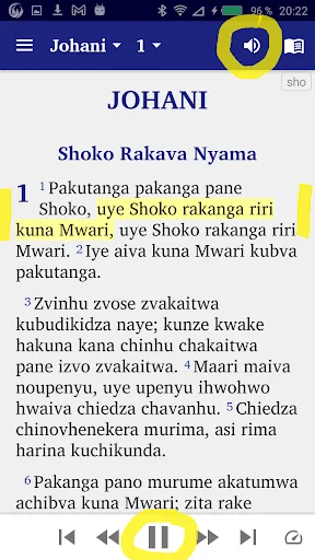 Shona English Swahili screenshot 1