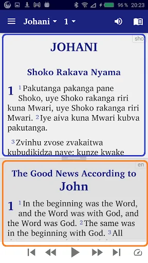 Shona English Swahili screenshot 5