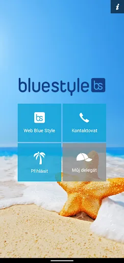 Blue Style screenshot 1