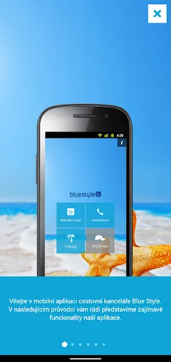 Blue Style screenshot 2
