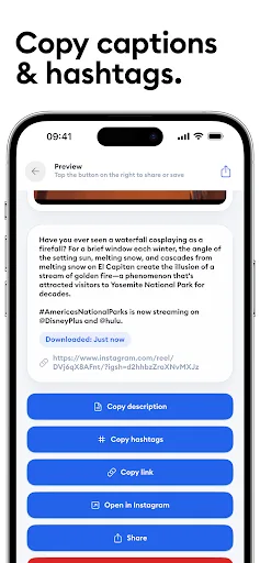 Instagram Downloader 2026 screenshot 4