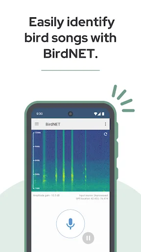BirdNET screenshot 1