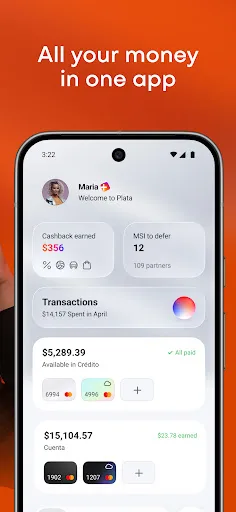 Banco Plata screenshot 2