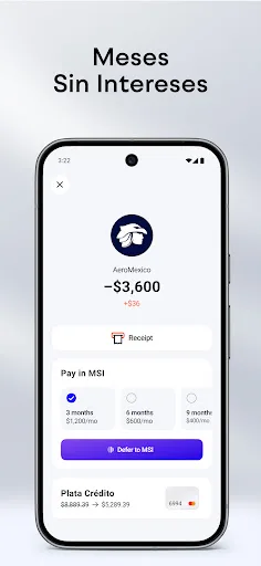 Banco Plata screenshot 4