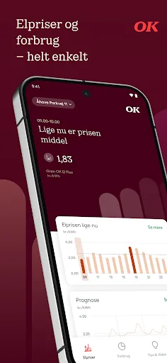 OK Hjem: Dit elpris-overblik screenshot 1