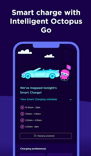 Octopus Energy screenshot 4