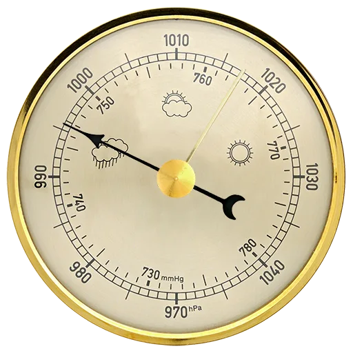 Professional barometer