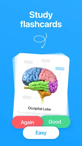 Cogni: Study with Flashcards screenshot 1