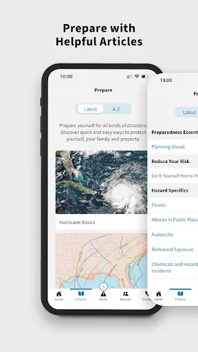 FEMA screenshot 4